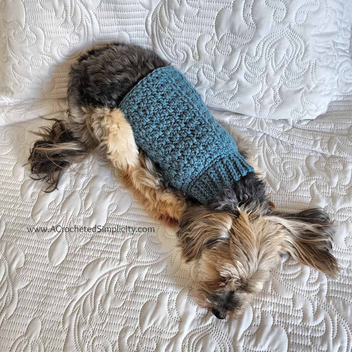 12 Free Dog Sweater Knitting Patterns