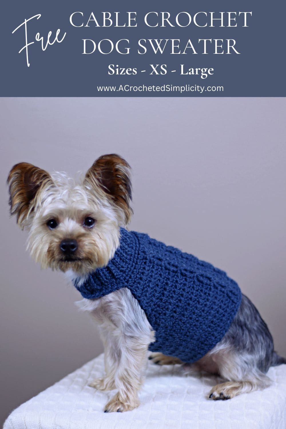 Yorkie sitting on a knit cabled blanket wearing a cabled crochet dog sweater.